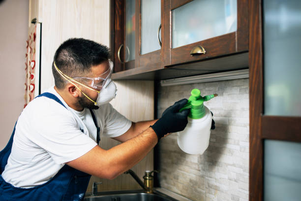 Best Best Pest Control Companies  in Mledgevle, IL