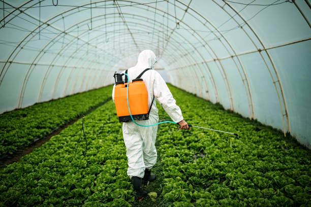 Best Affordable Pest Control Services  in Mledgevle, IL