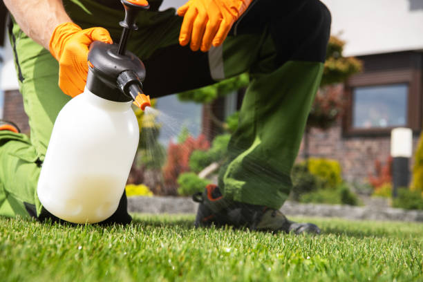 Best Pest Control Near Me  in Mledgevle, IL