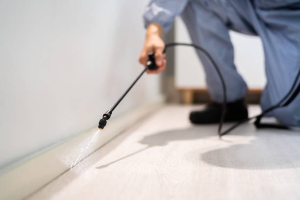 Best Wasp Removal Services  in Mledgevle, IL