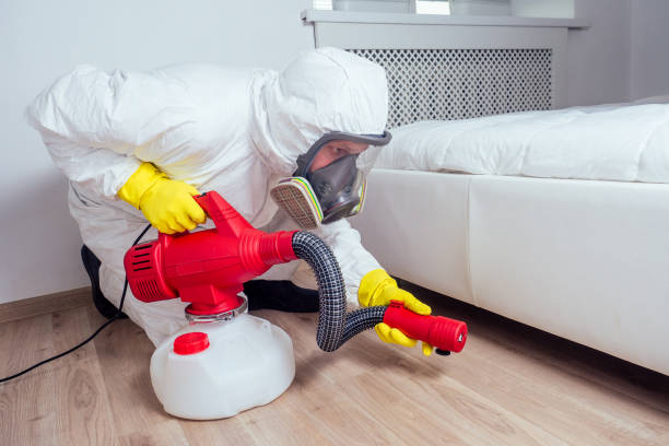 Best Flea Control Services  in Mledgevle, IL