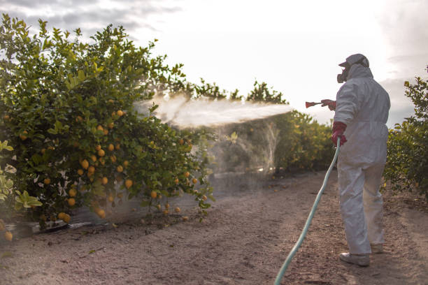 Best Insect Control  in Mledgevle, IL