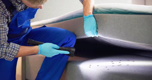 Best Pest Prevention Services  in Mledgevle, IL