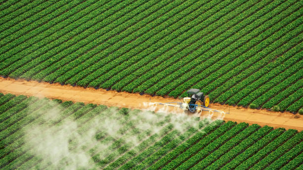 Best Termite Control Services  in Mledgevle, IL